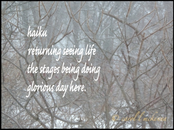 I read recently that haiku is like a prayer ~ I certainly find it meditating ~ what do you think? 